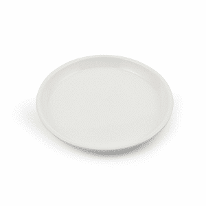 Ivory Porcelain Round Flat Plate 9"